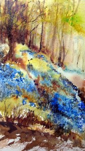 small bluebell painting Scathes Wood