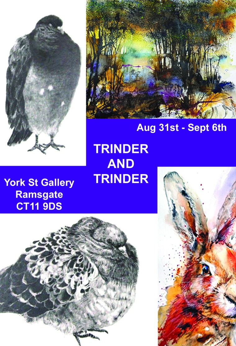 TRINDER AND TRINDER YORK ST